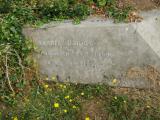 image of grave number 737243